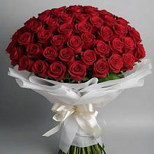 Букет 101 Красная роза Блэк Мэджик в Пустошу
