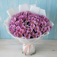 Букет цветов из:  Хризантемы в Пустошу