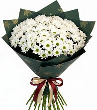 Букет цветов из:  Хризантемы в Пустошу