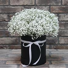 Цветочная композиция из Гипсофила в шляпной коробке в Пустошу
