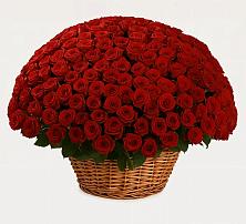 Премиум букет из: Розы в Пустошу