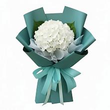 Букет цветов из:  Гортензия #REPLACE_PRED# Пустошу